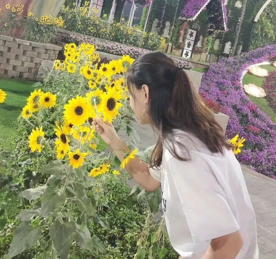 你想要怎样的生活_想要生活过得旺下一句怎么接_想要生活好必须带点绿下一句