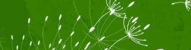 小学数学 |小升初专项-简易方程知识点