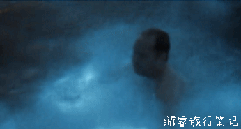 沙滩上的管子是啥_沙滩上的管子是什么生物_沙滩管状生物