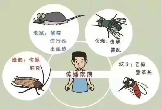 什么是病媒生物？开展病媒生物防制有何重要意义？