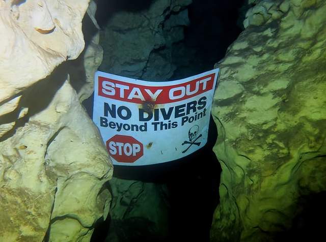 深海生物潜藏者是谁_潜藏深海的生物_深海生物潜藏期多久