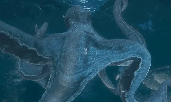 深海生物潜藏者是谁_深海生物潜藏期多久_潜藏深海的生物