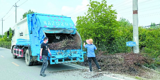 废料变肥料 枯枝败叶有了“好归宿”