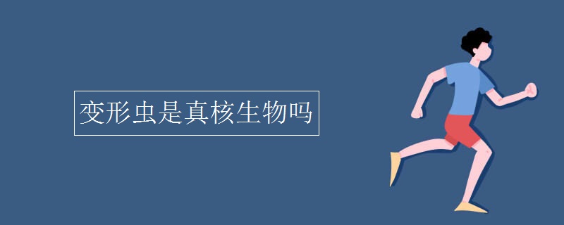 变形虫是真核生物吗