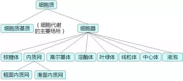 高中生物重要知识点归纳总结 |，最新最全！