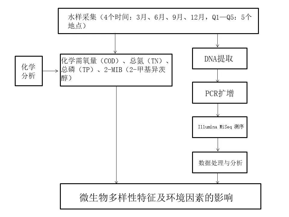 大型饮用水源地的微生物多样性特征及环境因素的影响