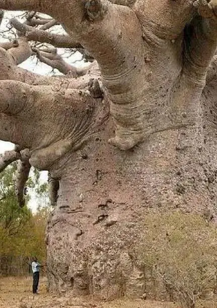 大气层生物真的存在_大气生物层存在于哪里_大气层中生物