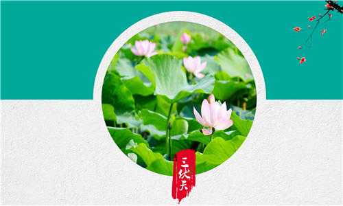 正值三伏天，这四大养生小知识你真的知道吗？