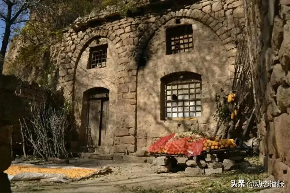 什么是生活真的没有标准答案 什么是生活？