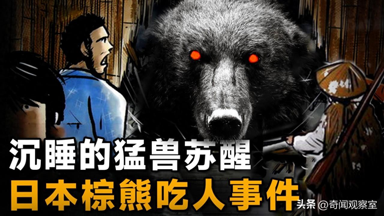 恶熊入村疯狂袭击人类，最终7死3伤，日本三毛別棕熊事件