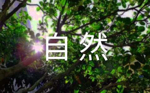 别想太多的说说句子 别想太多一切顺其自然个性签名