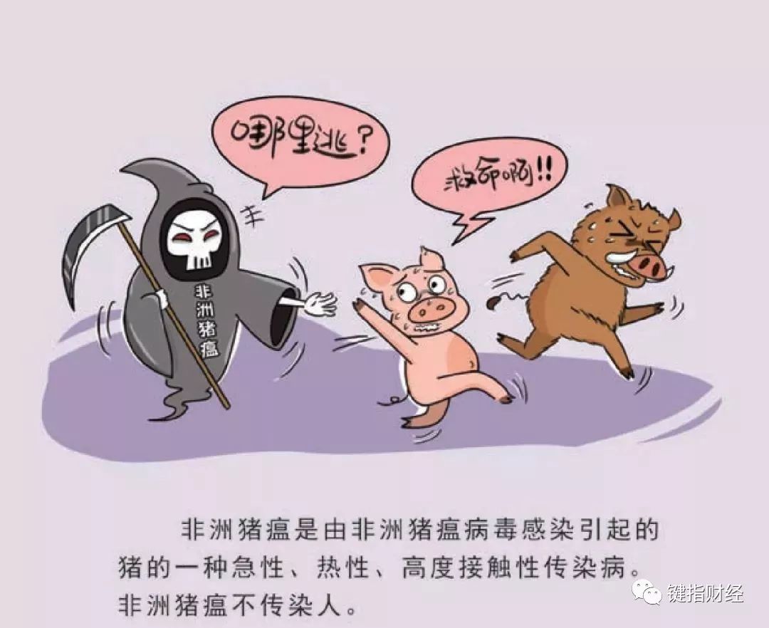 “非洲猪瘟”的警告：保护“生物多样性”刻不容缓！