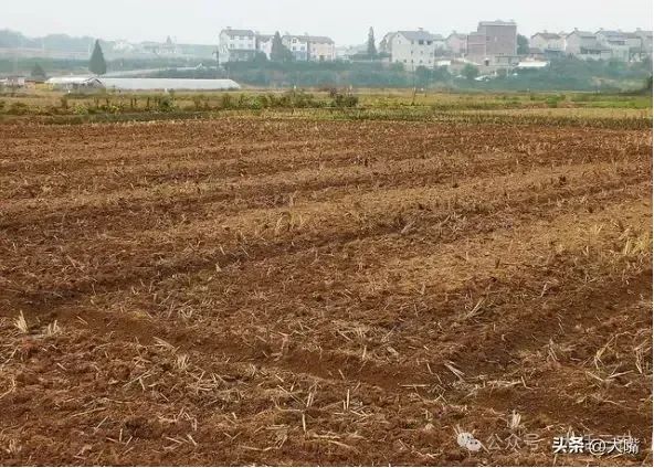 中国乡村奇闻怪事_乡村奇闻怪事栏目_乡村怪事中国奇闻视频