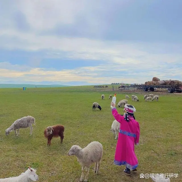 游牧民族生活_牧民游牧生活_游牧民的生活