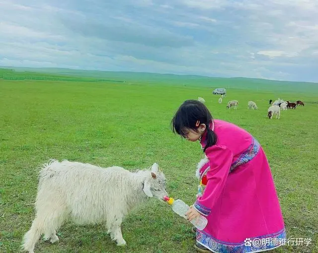 游牧民的生活_牧民游牧生活_游牧民族生活