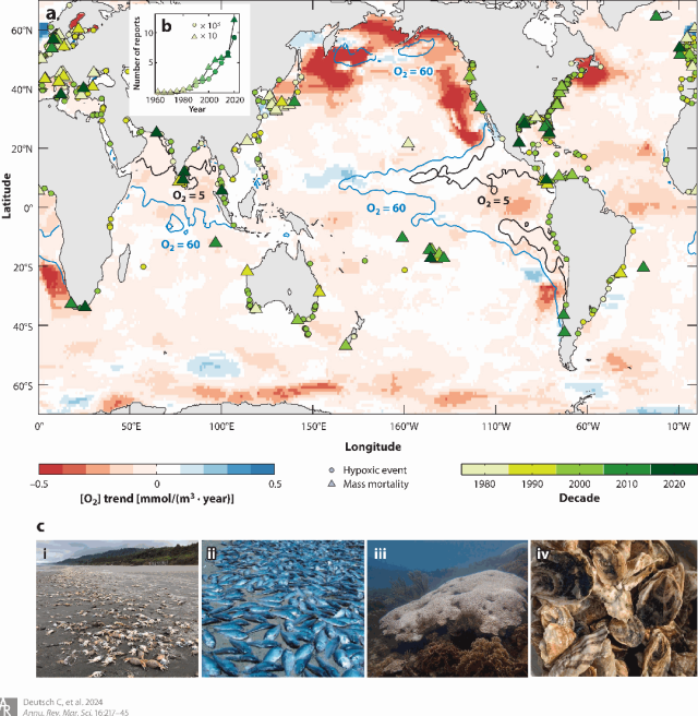 海洋生物可以活多久_活的最久的海洋生物_海洋生物