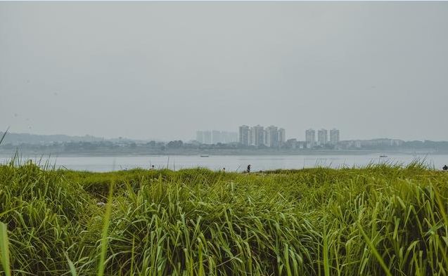 民国时期泸州趣闻录，那个时代的历史典故