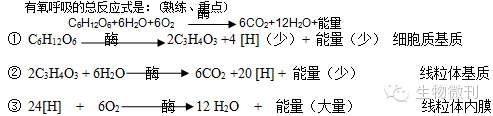 细胞构成生物体的什么_生物都是由细胞构成的例如_细胞生物构成是什么