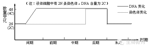 细胞生物构成是什么_细胞构成生物体的什么_生物都是由细胞构成的例如