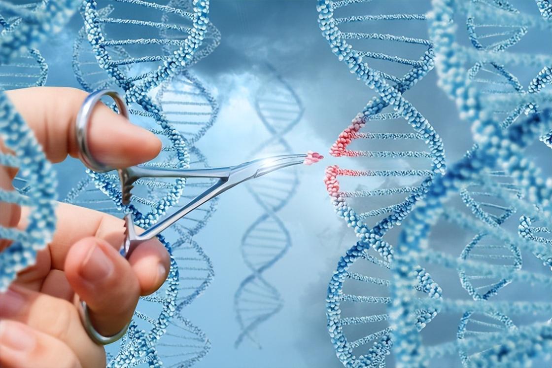 科学小发明生活中有作用_对生活有用的科学小发明_科学小发明生活用品