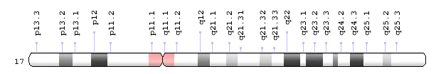 染色体生物是指_染色体是生物吗_24对染色体是什么生物