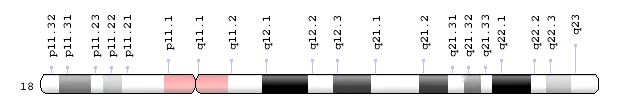 染色体生物是指_24对染色体是什么生物_染色体是生物吗