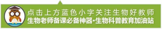 高中生物：遗传与变异的46个常见问题解惑！