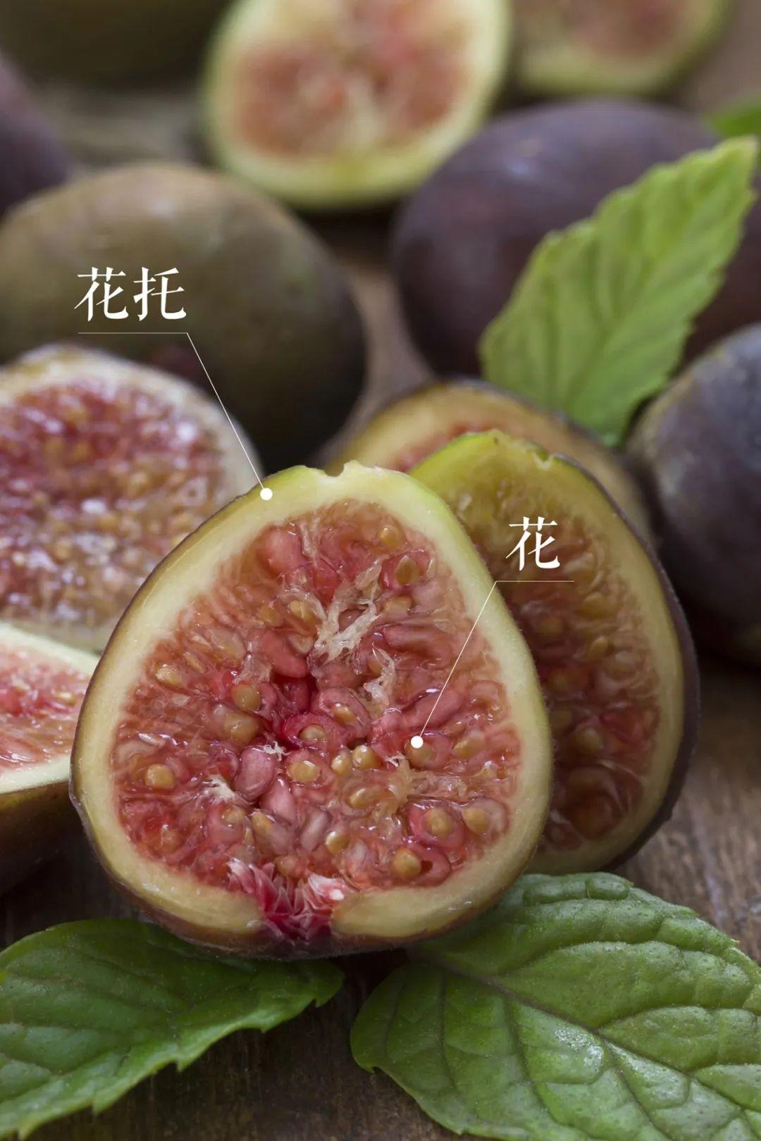 无花果，一个被“低估”的农特产，不仅营养价值高，用途还很广