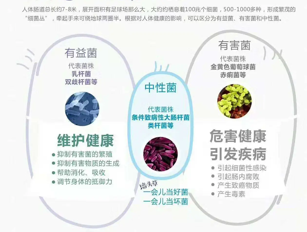 原因生物更换CEO_生物原因类问题答题模式_生物的原因