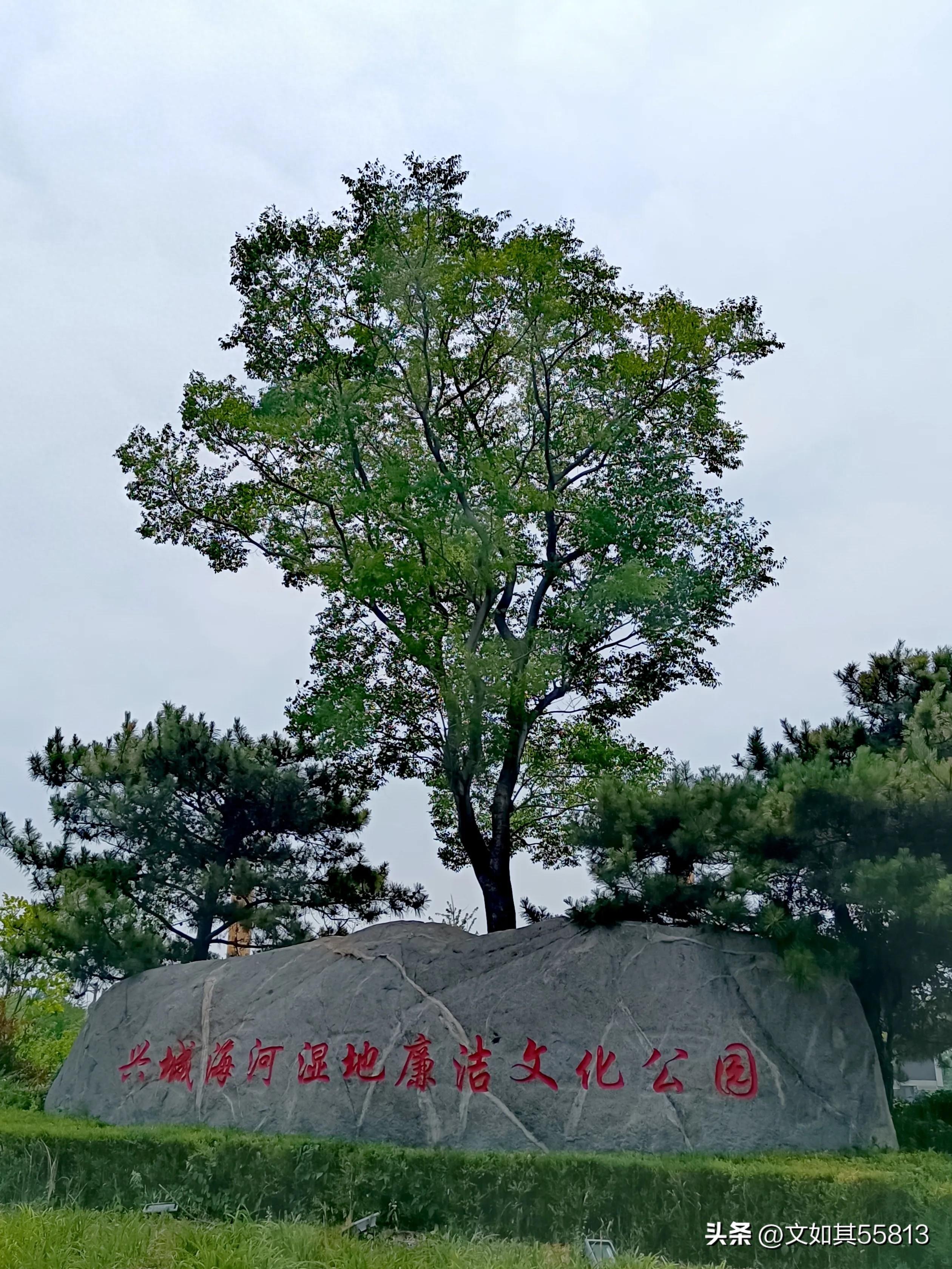 南方哪些小城市适合居住_适合居住的南方小城_南方适合生活的小城市