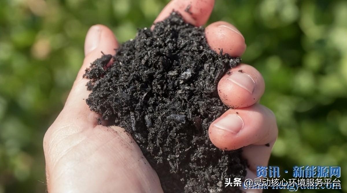 生物炭可以提高农业潜力和减缓气候变化