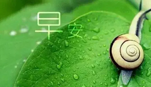 晚安心语：用心甘情愿的态度，过随遇而安的生活