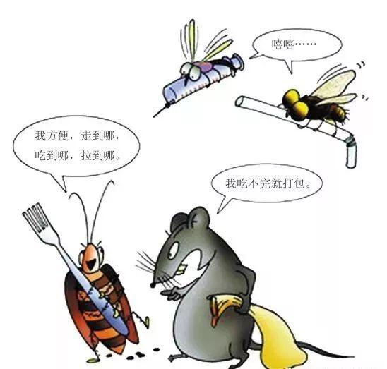 病媒生物防制知识!