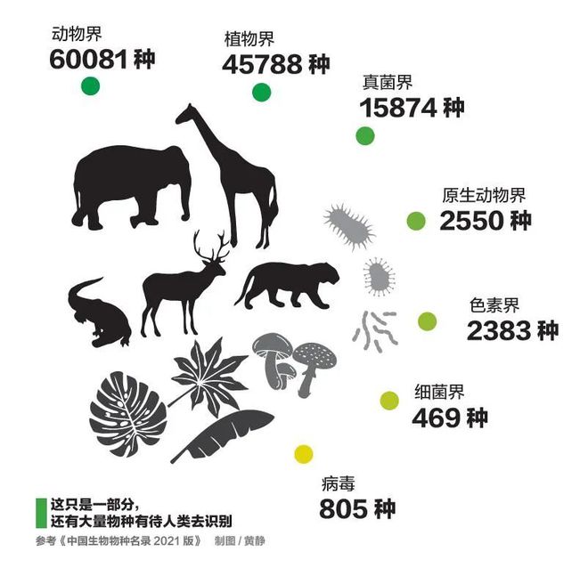 世界上生物种类有多少_生物界有多少种生物_世界上共有多少种生物