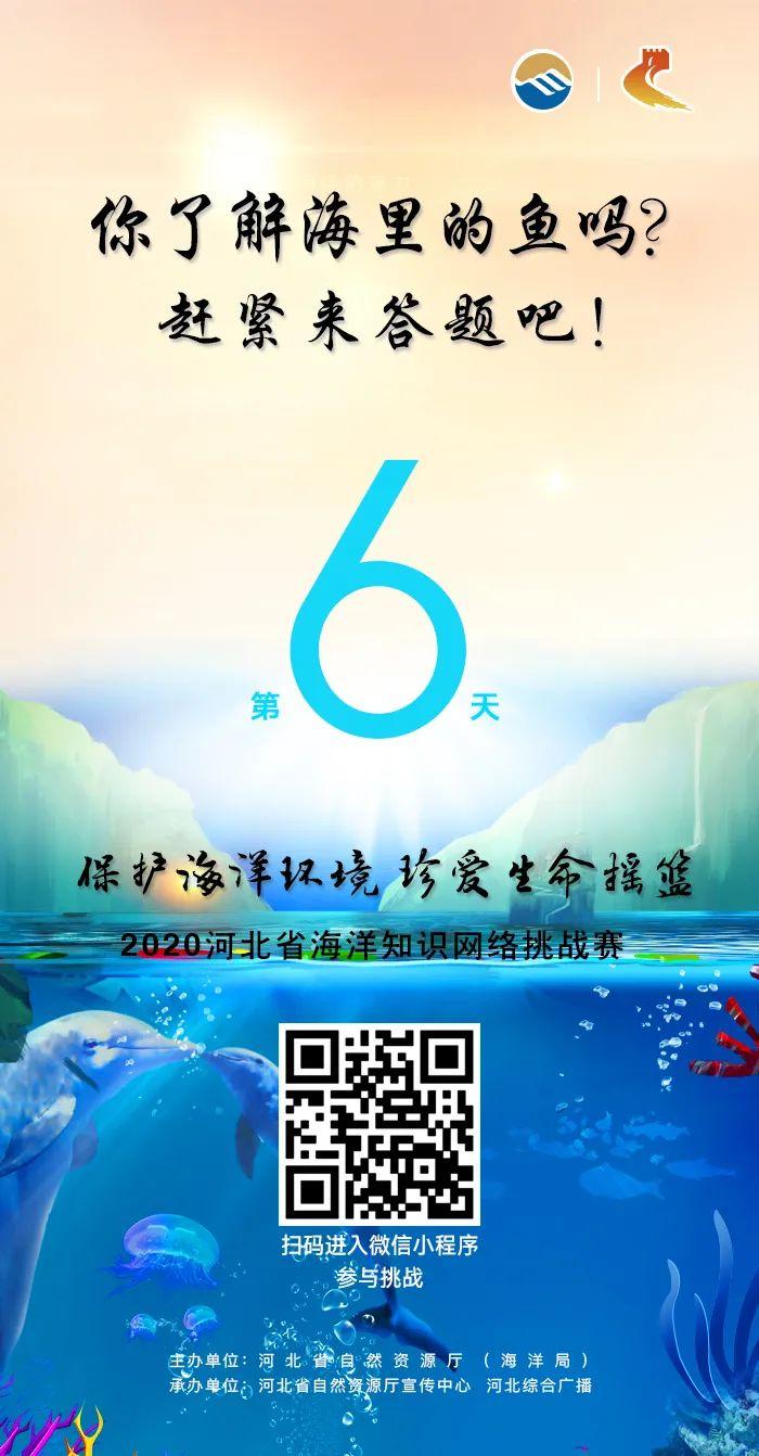 小丑鱼的小知识_小丑鱼知识小报图片_小丑鱼知识小报怎么画