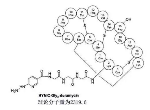 HYNIC-Gly3-duramycin可应用于生物分子标记