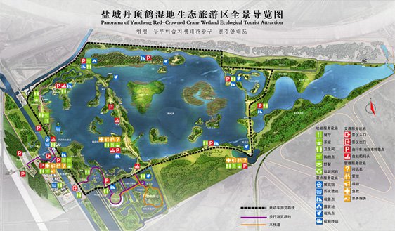 盐城丹顶鹤湿地生态旅游区游玩攻略