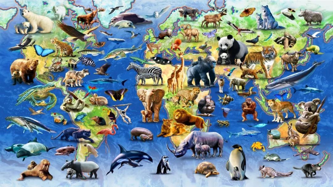 国际生物多样性日丨我们能做什么？