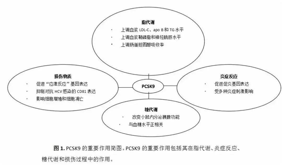 施一公：人类认知如此有限，未知的世界多到难以想象