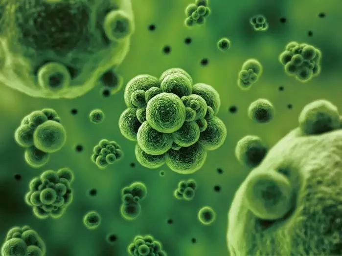 你真的了解“生物制剂”吗？