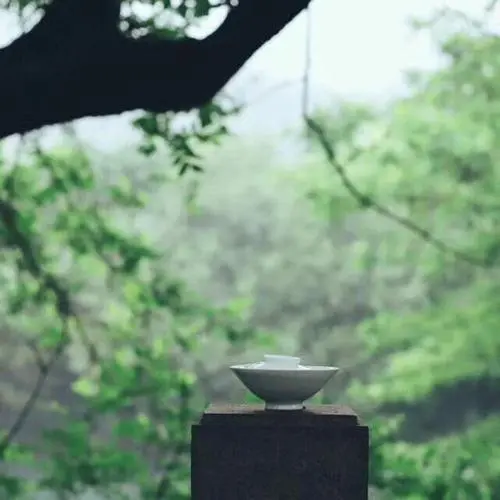 到了一定年纪，你就会明白……
