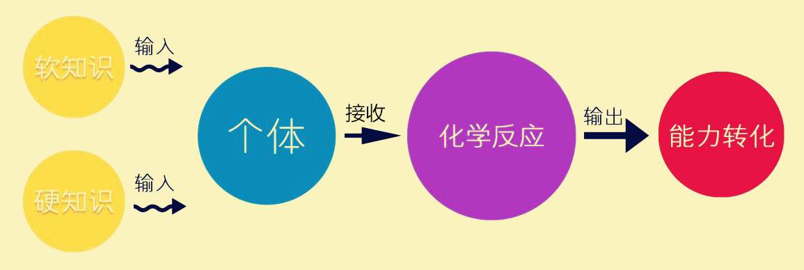 怎么学习知识，才能够学以致用呢？