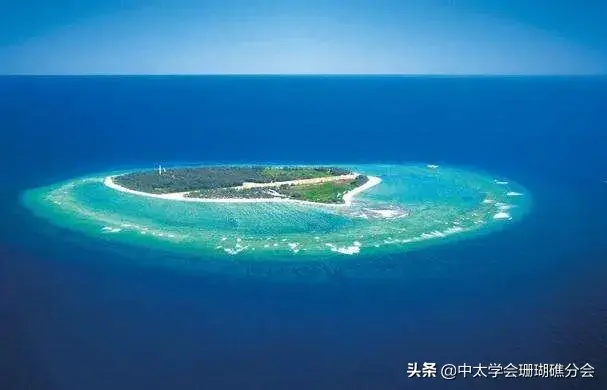 珊瑚礁是由造礁珊瑚和其他生物骨骼_珊瑚骨骼礁生物造礁是什么动物_珊瑚骨骼礁生物造礁是什么意思
