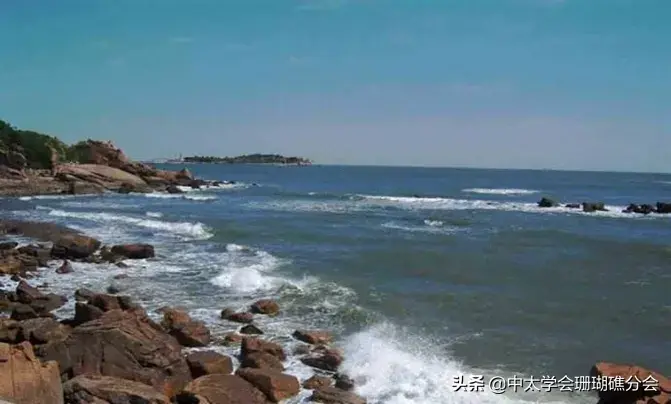 珊瑚礁是由造礁珊瑚和其他生物骨骼_珊瑚骨骼礁生物造礁是什么动物_珊瑚骨骼礁生物造礁是什么意思