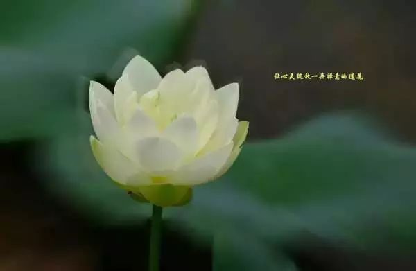 怎样看淡性生活时间_怎样看淡性生活时间_怎样看淡性生活时间
