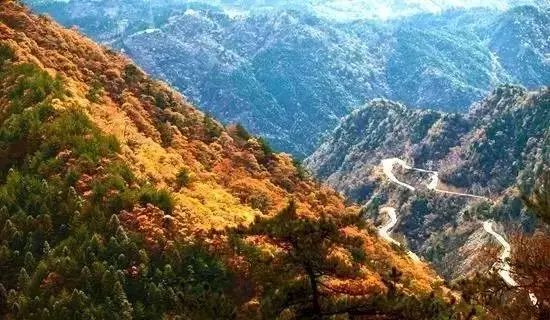 各国奇闻趣事_世界各国奇闻趣事_世界各国奇闻趣谈