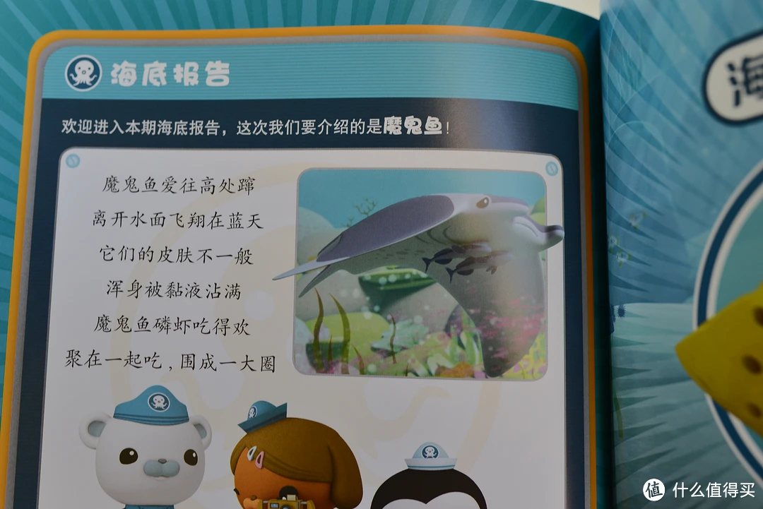蝠鲼是知名度相当相当高的一种海洋生物。在海王电影里面，那个反派就叫做黑蝠鲼。蝠鲼的形态相当好看。很多电影里面的飞船也都是参考了蝠鲼的形态。蝠鲼应该是鳐鱼的一种，大连这边的常见的老板鱼，应该是蝠鲼的近亲。