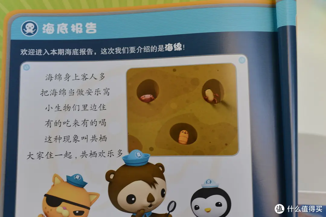 是很多很多种生物的集合体。与海藻等生物不同，海绵生物多数都有骨骼，这个是区分它们的一个重要的特征。