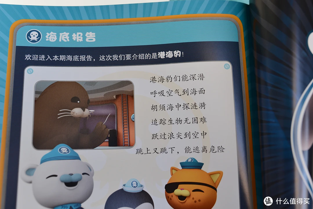主要是生活在北极附近的一种海豹。比较倾向留在海岸。因为常常留在海港，因此得名。