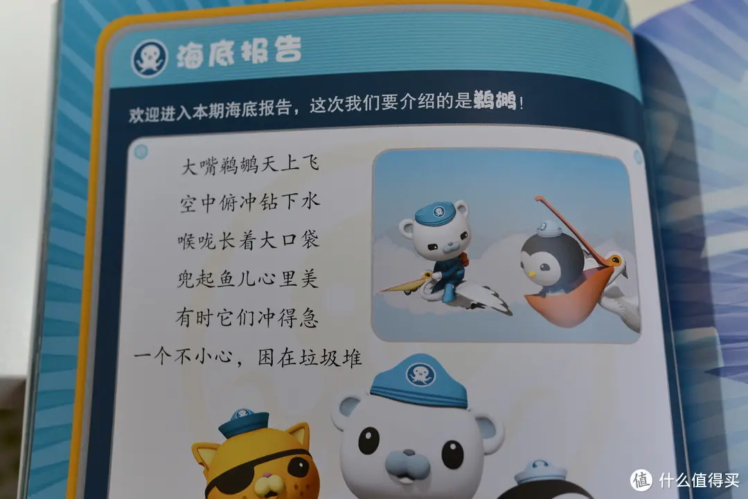 最出名的就是NBA的鹈鹕队啦。这种鸟类分布相当的广泛，在动物园也有见到过，真的很好看。